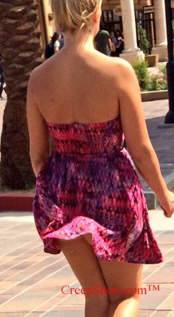 windy up skirt creep shot 1